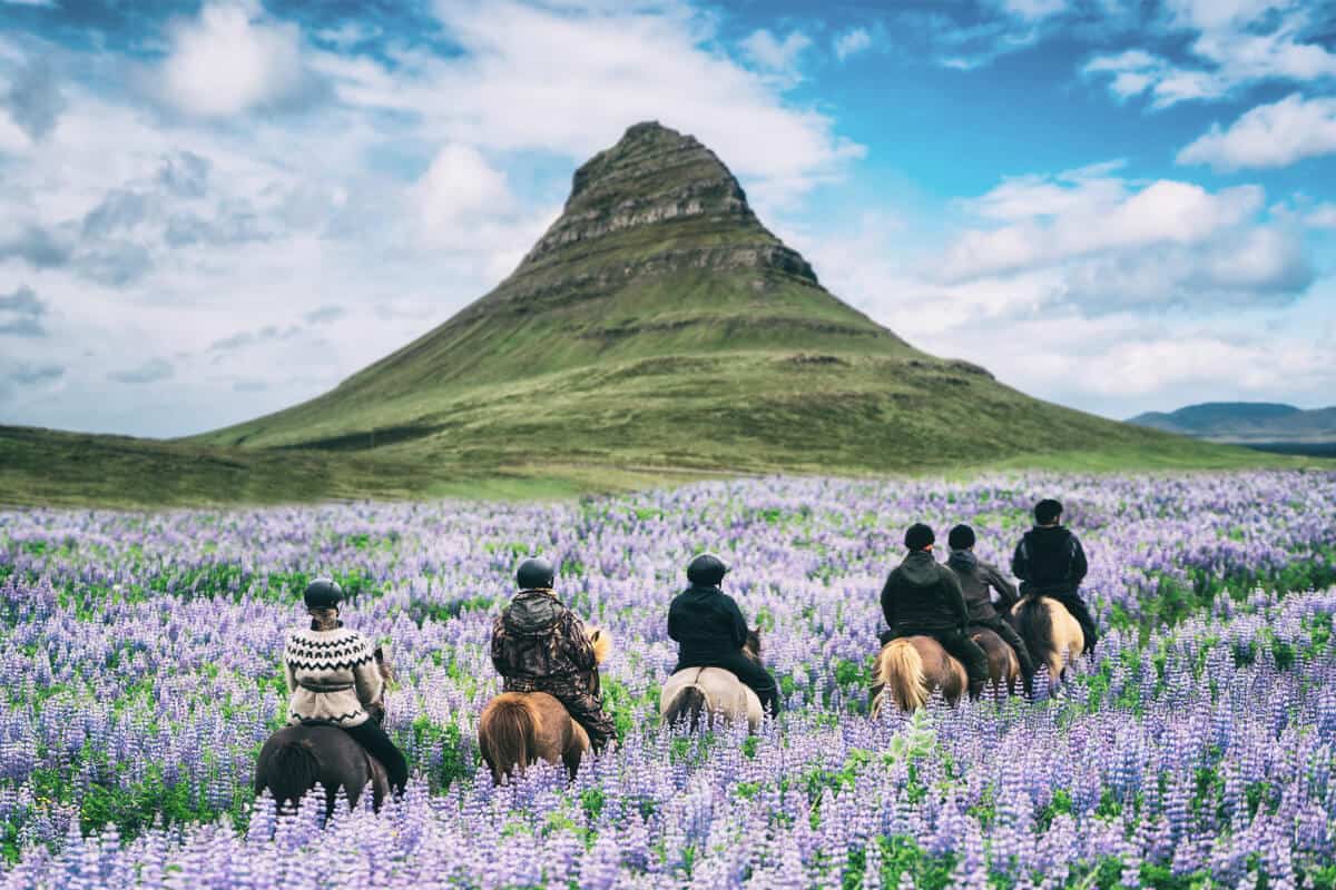Day tours in Iceland to Snaefellsnes peninsula are popular
