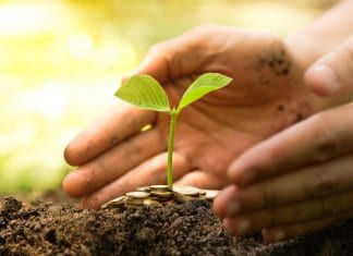 Man protecting small plant showing sustainable tourism in Iceland