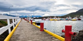 Fishing port in dalvik, where the main industry is located