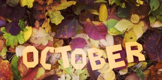 October weather in Iceland graphic with fall leaves