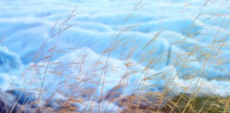 There are 26 Iceland campsites open all year