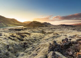 Reykjanes Peninsula Iceland lava fields covered in moss