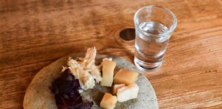 Shark museum in Iceland