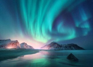 Iceland in January: Your Ultimate Travel Guide Northern lights dancing in the sky in January